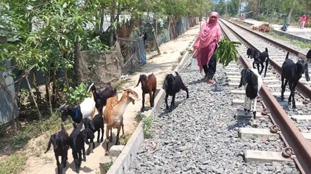মা-সন্তানদের আহার সংস্থানে প্রতিবন্ধী রাশিদার সংগ্রাম