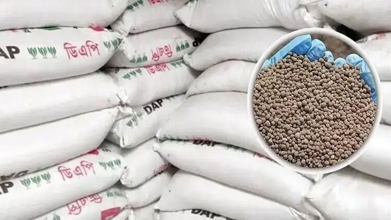 লক্ষ্মীপুরে ৫৭ সার ডিলারের ৪৫ জন বিএনপি নেতাকর্মী