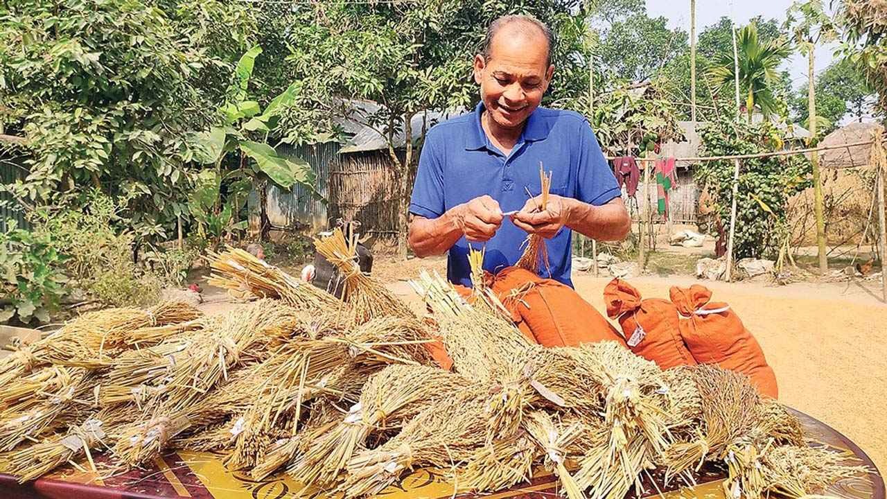 প্রাতিষ্ঠানিক শিক্ষা ছাড়াই ২৫ জাতের ধান উদ্ভাবক সেন্টু হাজং