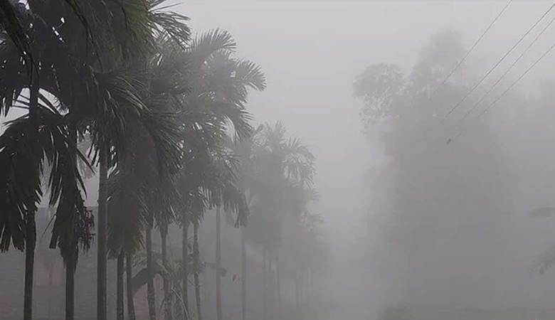 তাপমাত্রা কমলো পঞ্চগড়ে, বাড়ছে শীতের অনুভূতি