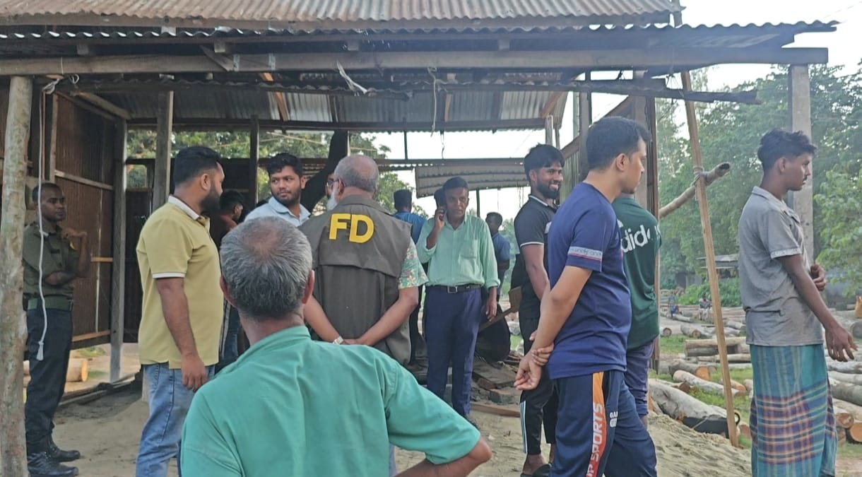 সরকারি জমি দখল করে করাতকল, মির্জাপুরে উচ্ছেদ অভিযান