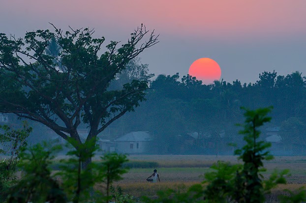 হেমন্তের হৈমন্তী