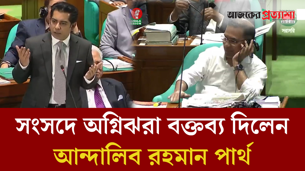 সংসদে অগ্নিঝরা বক্তব্য দিলেন আন্দালিব রহমান পার্থ